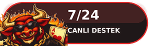 7/24 Canlı Destek